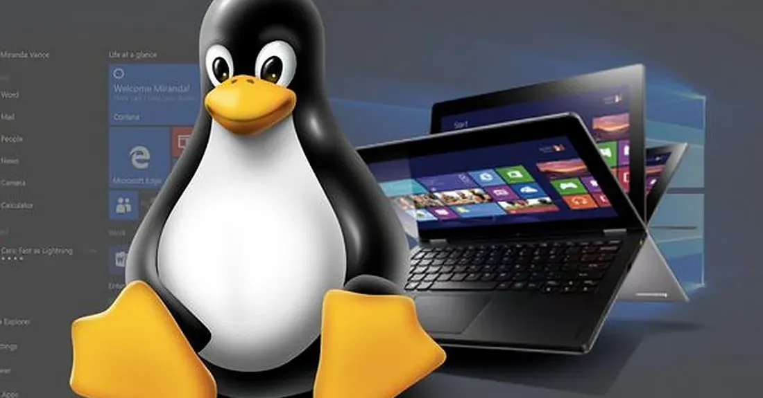 Windows Mulai Ditinggalkan? Ini Alasan Gamer Steam Ramai-Ramai Pindah ke Linux
