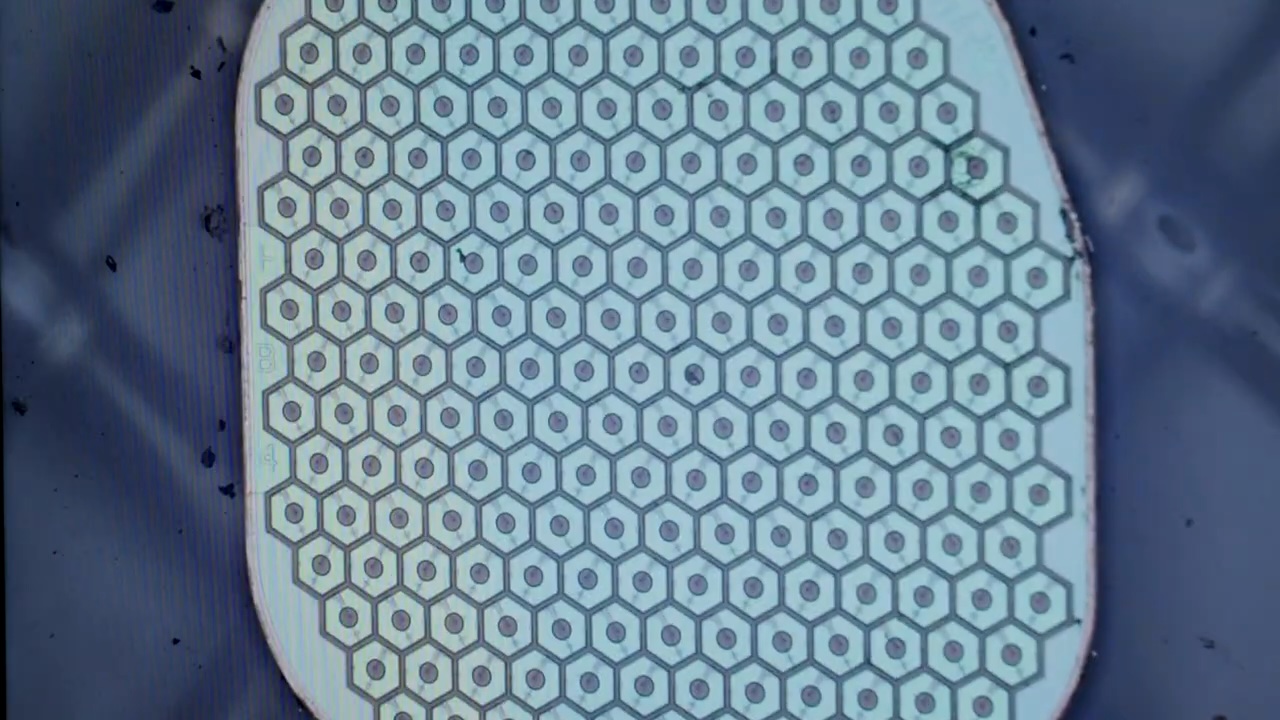 Science Corp Siap Uji Coba Sensor Biohybrid Pertama di Otak Manusia