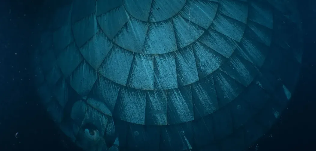 Foto pelindung panas kapsul Orion Artemis 2 yang menghitam setelah mendarat di Samudra Pasifik tanggal 10 April.