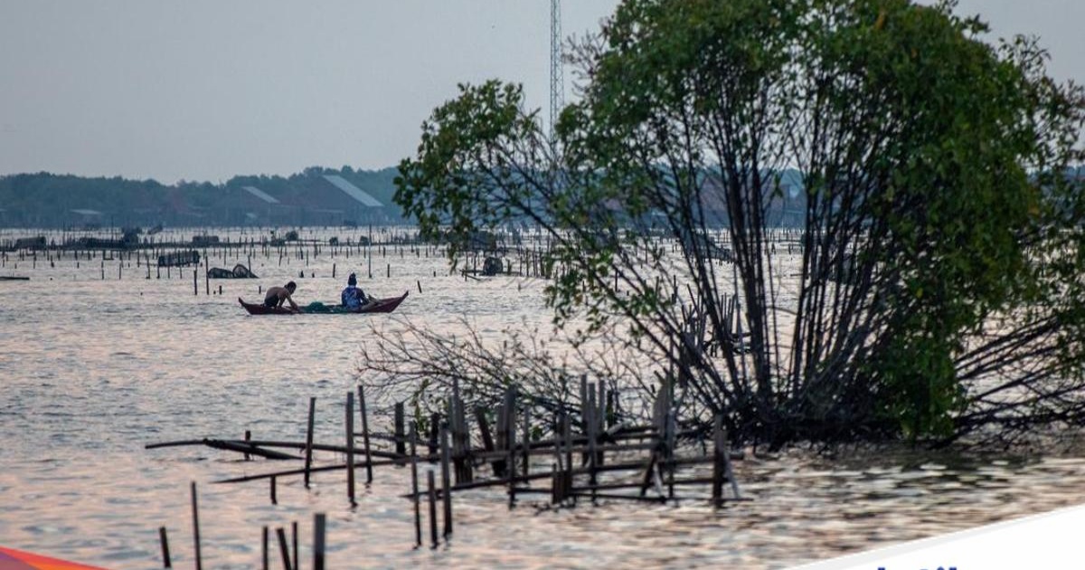 Ilustrasi pantai utara Jawa atau Pantura dengan ancaman kenaikan muka laut dan penurunan tanah