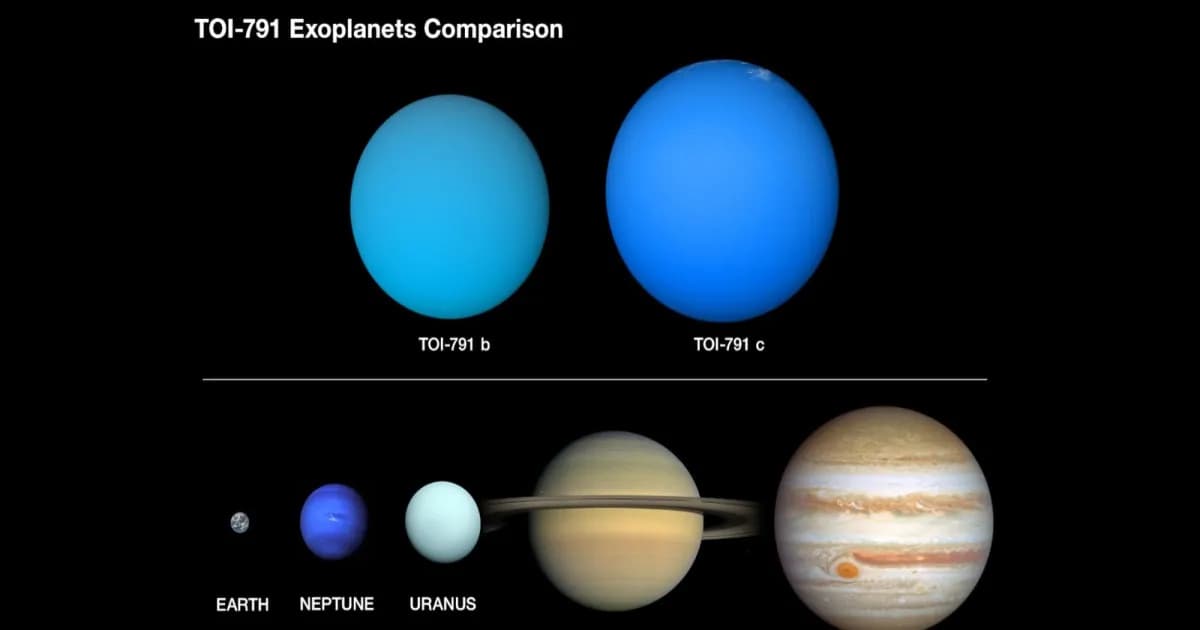 Ilustrasi planet-planet super puffy yang ditemukan oleh teleskop TESS NASA