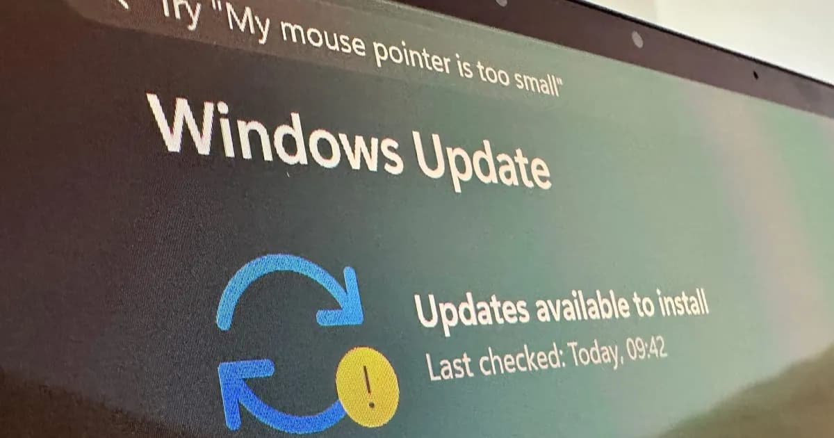 Windows 11 logo on blue bloom background