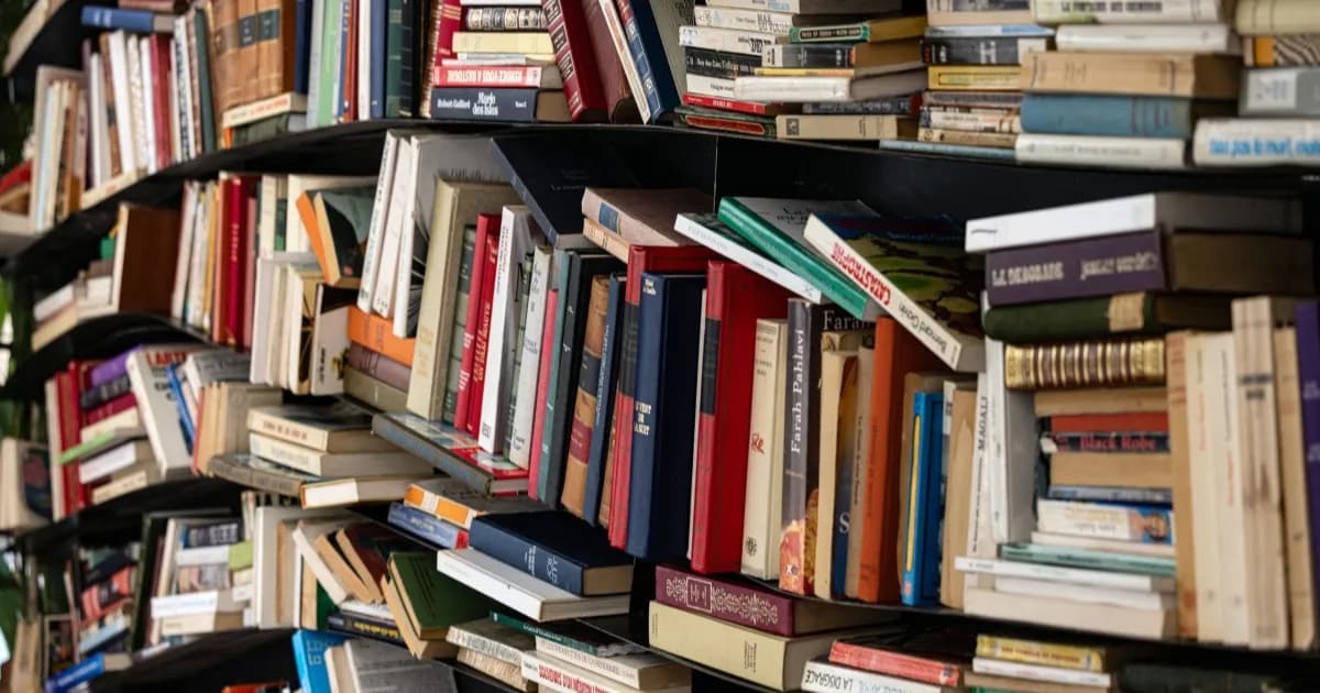Tumpukan buku bekas yang dibeli perusahaan AI untuk data pelatihan
