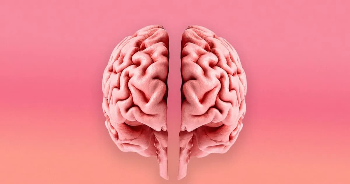 Ilustrasi dua otak manusia terpisah sebagai simbol temuan Stanford soal otak dua organ