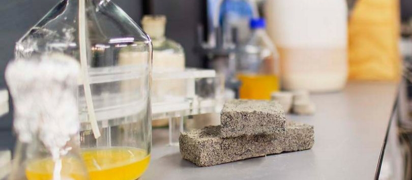 Wow! Peneliti Kembangkan Biokimia Pertama dari Urin Manusia