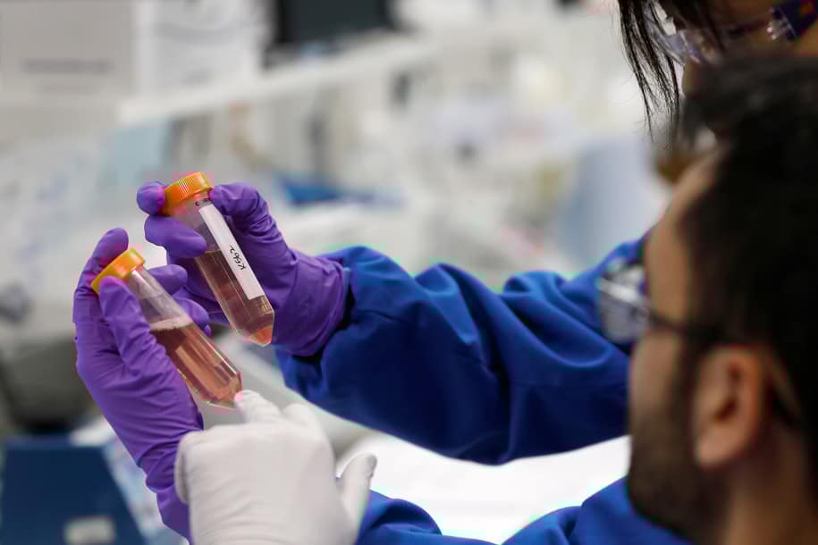 Ilmuwan Bikin Model Penelitian Embrio dari Sel Induk Manusia