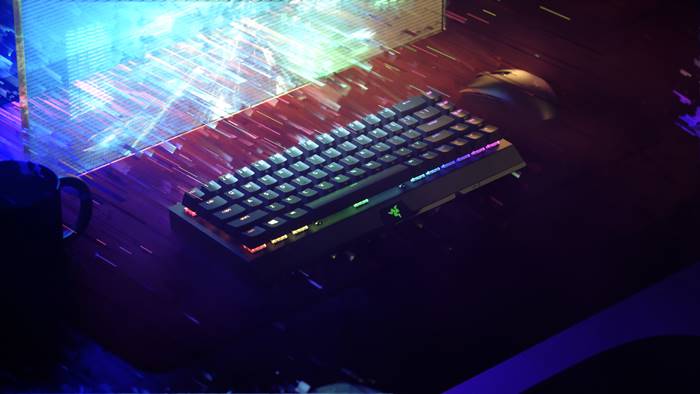 Keyboard gaming Razer BlackWidow V3 Mini HyperSpeed