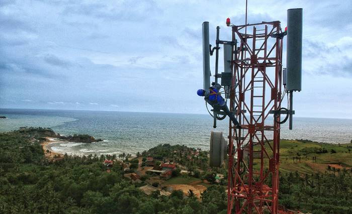 Pekerja Palapa Timur Telematika Tewas KKB Papua