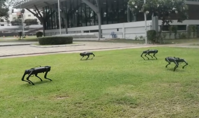 Robot Anjing Menyeramkan