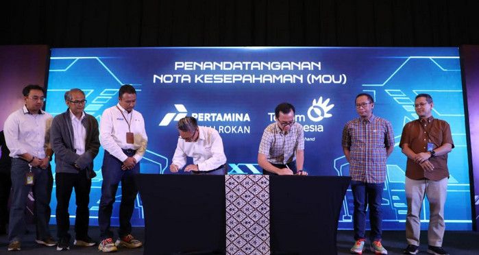 Metanesia Pertamina Hulu