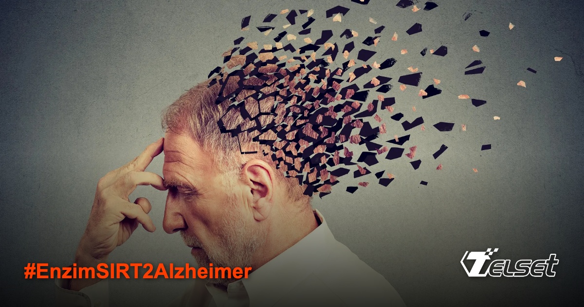 Ilustrasi kerusakan otak dan memori akibat penyakit Alzheimer