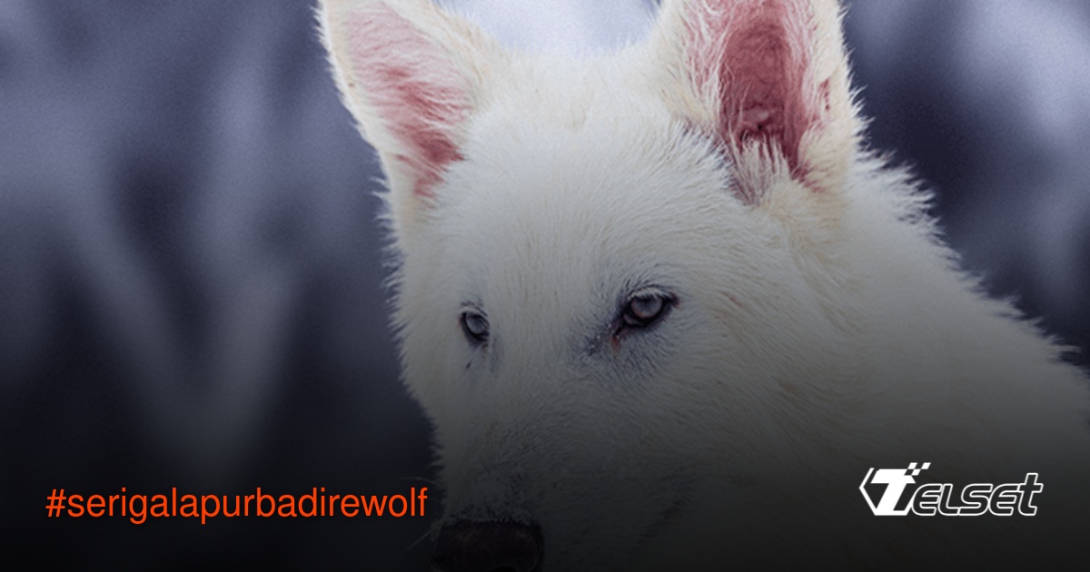 Dua anak serigala putih dire wolf hasil rekayasa genetik Colossal Biosciences