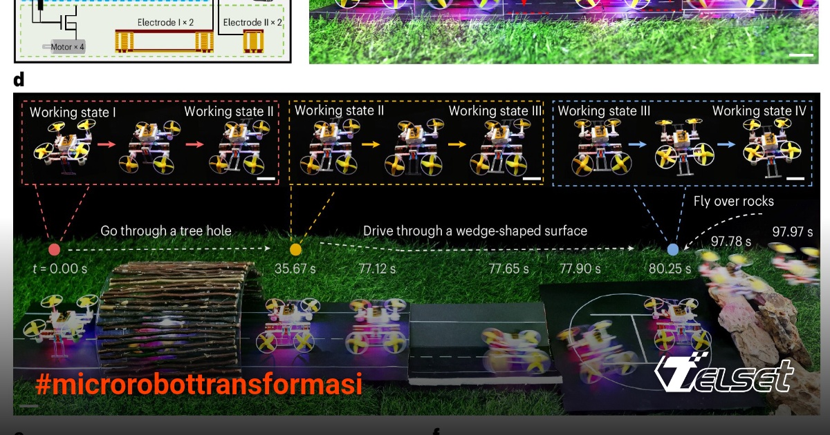 Microrobot kecil yang sedang berubah bentuk dari mode darat ke mode terbang