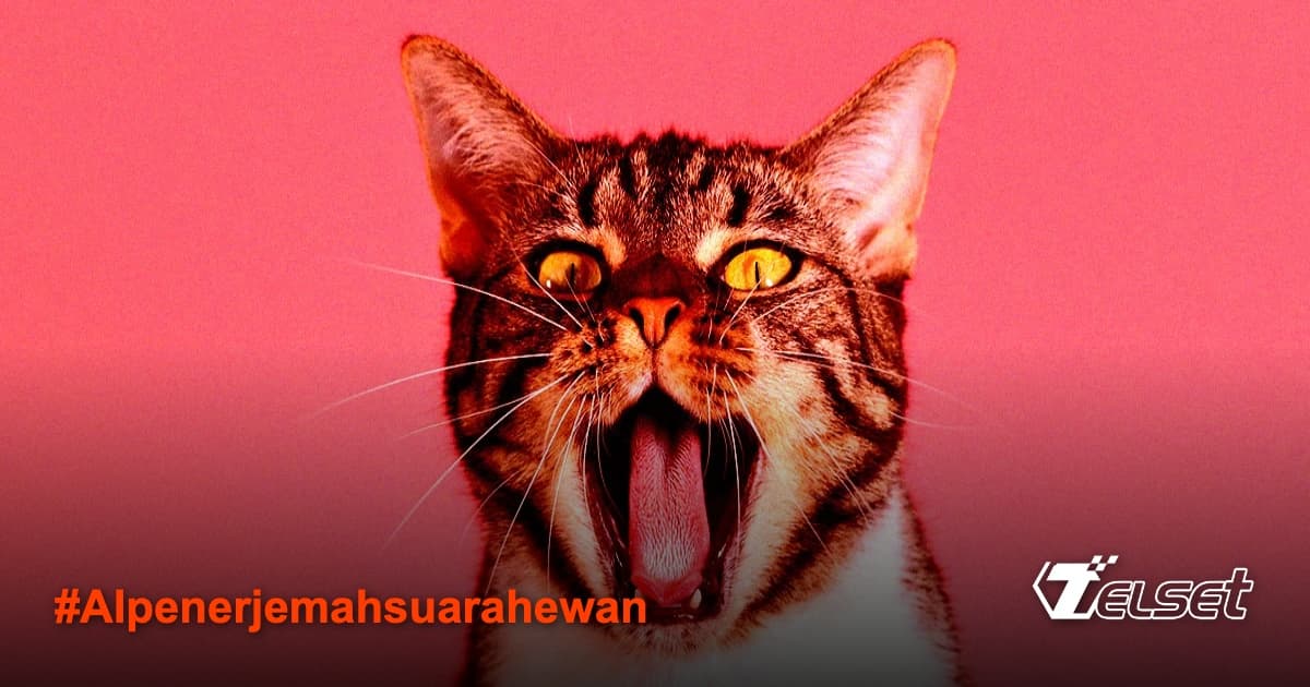 Ilustrasi kucing dan AI penerjemah suara hewan