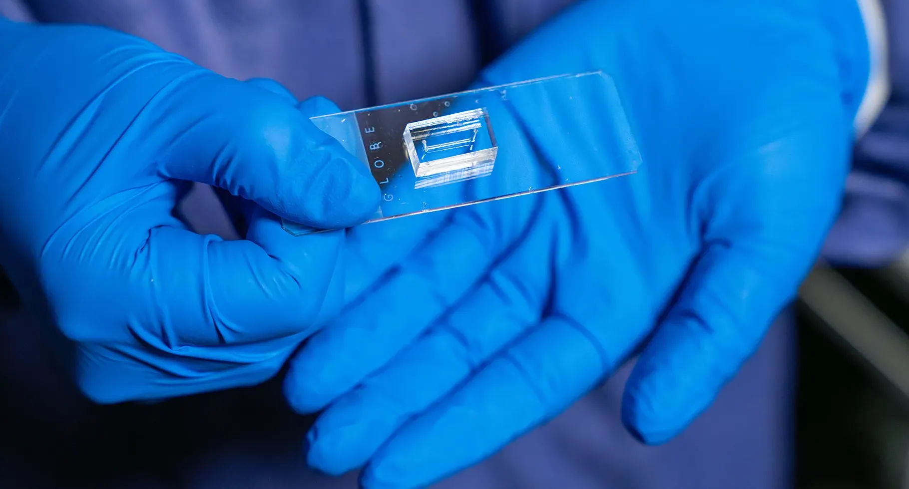 Ilustrasi vessel-chip mikrofluida yang meniru struktur pembuluh darah manusia