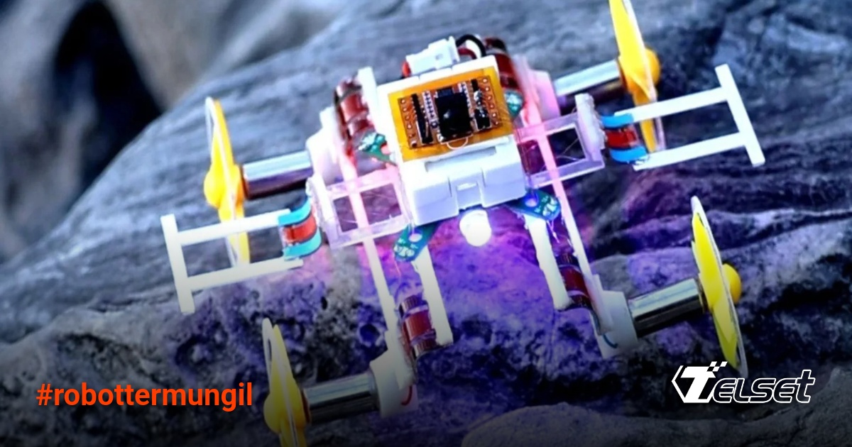 Robot termungil yang bisa berubah bentuk untuk misi penyelamatan