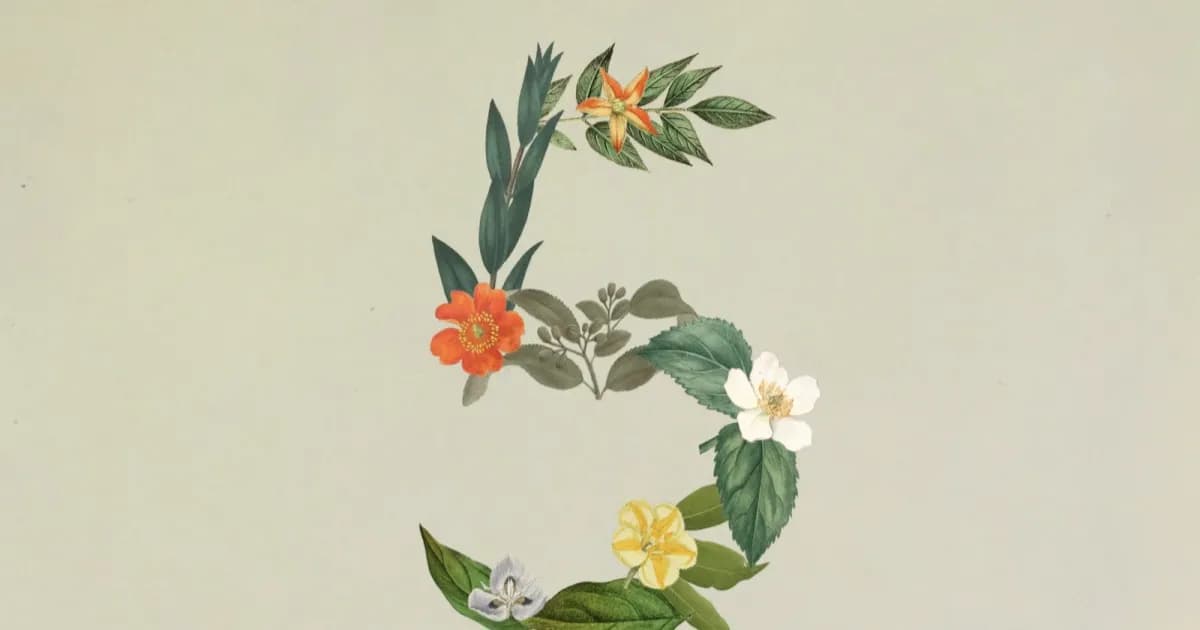 Ilustrasi angka 5 dengan gambar daun dan bunga untuk model Claude Sonnet 5