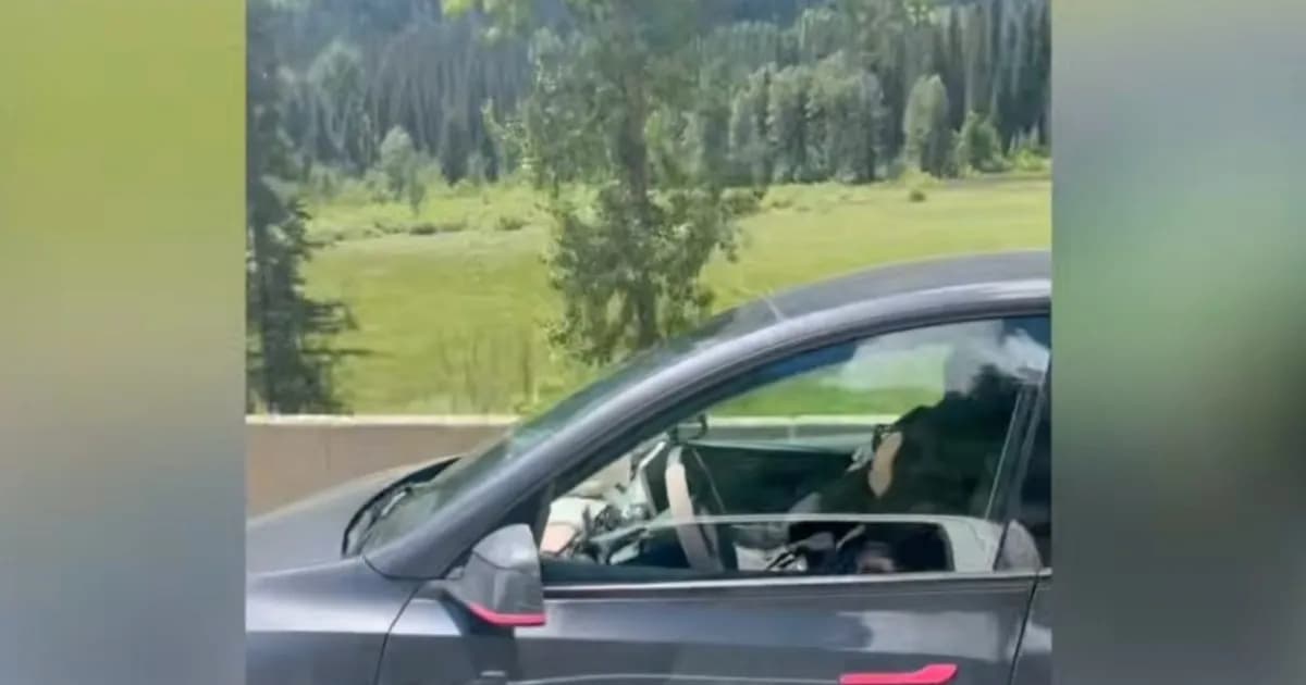 Mobil Tesla Model Y melaju di jalan raya dengan sistem FSD aktif
