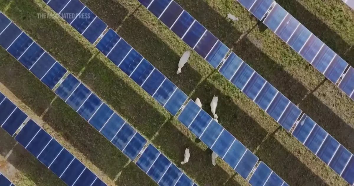 Ladang panel surya yang luas di China di bawah langit biru