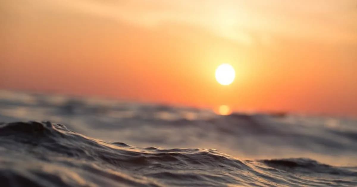 Ilustrasi jaringan sensor akustik bawah laut Triton Nodes buatan startup Denmark Triton Depth untuk mendeteksi drone dan sabotase.