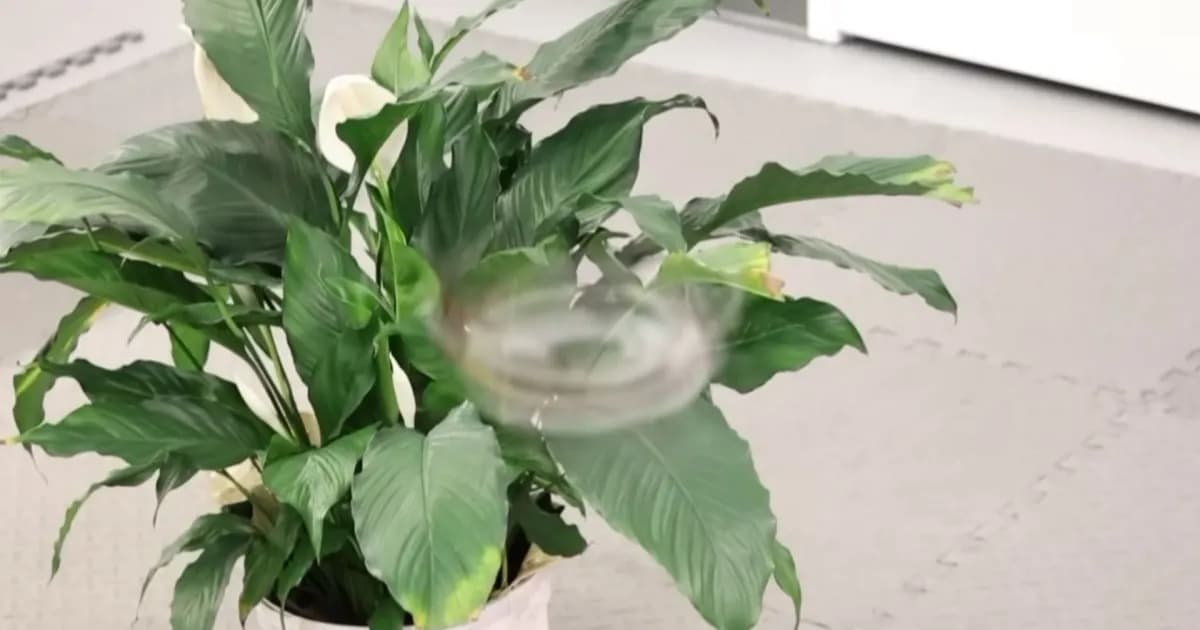 Drone Phantom Twist yang berputar cepat hingga tampak tidak terlihat oleh mata manusia
