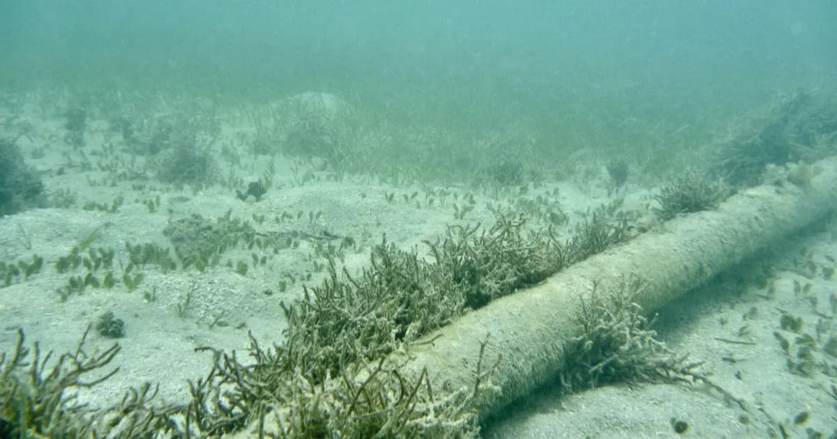 Kabel bawah laut yang melintasi perairan Oregon, Amerika Serikat