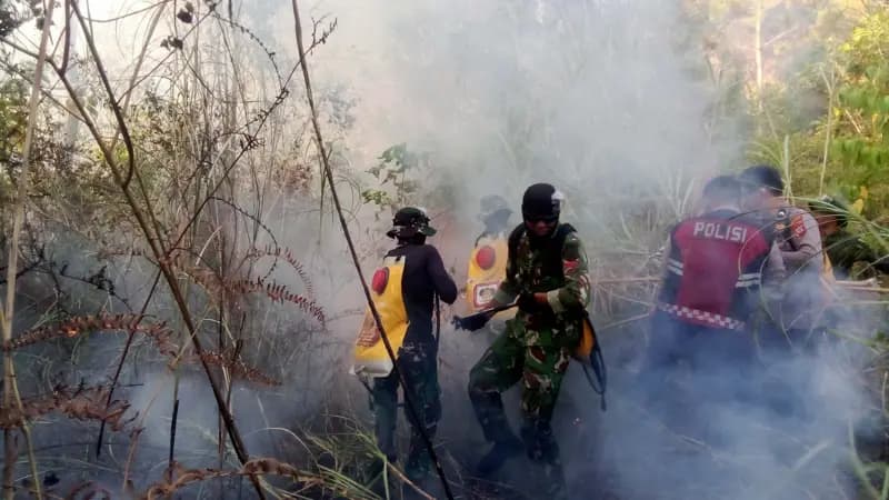 Karhutla 2026 Meluas di Tengah El Nino Godzilla, 90% Akibat Ulah Manusia