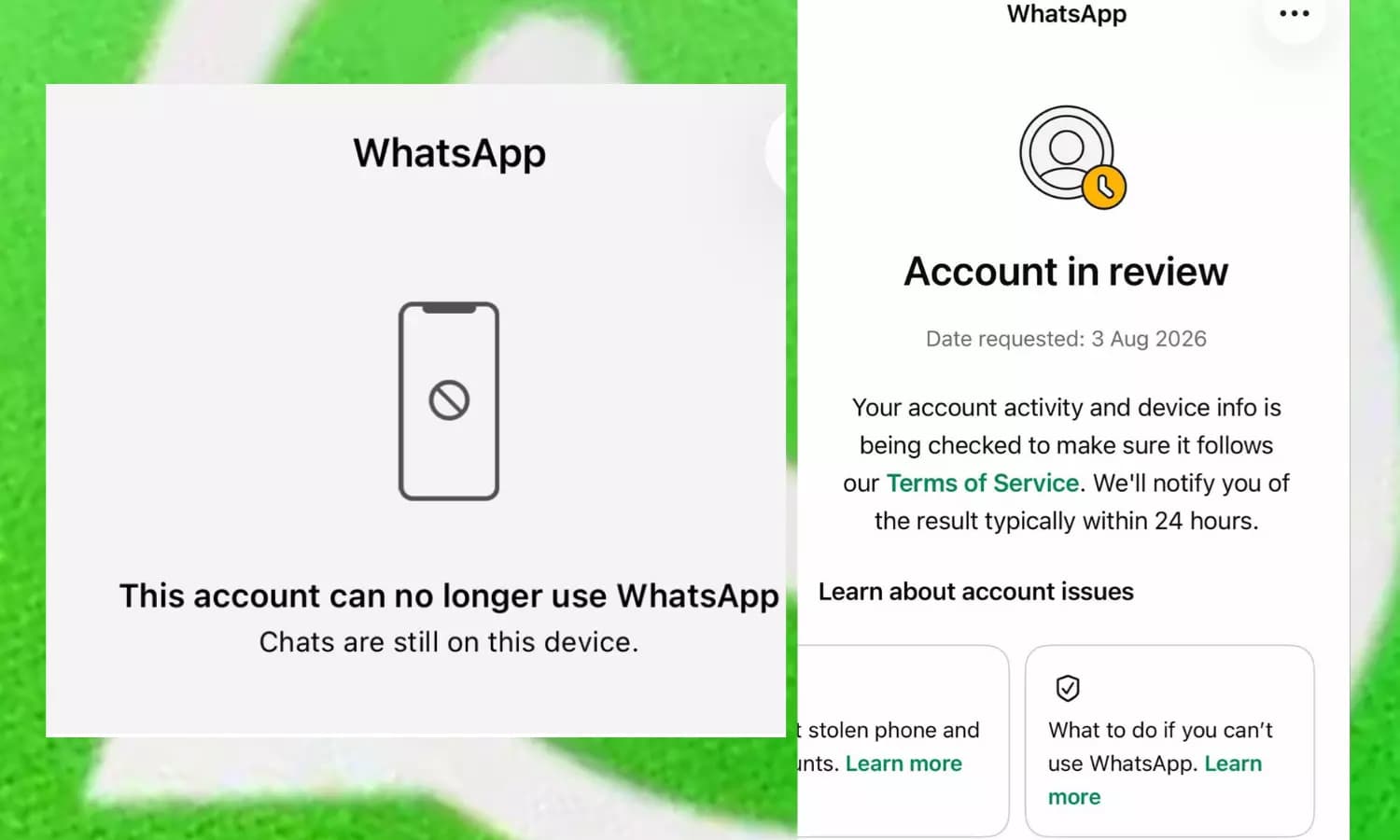 Langkah Tepat Saat Akun WhatsApp Diblokir 'Sedang Ditinjau'