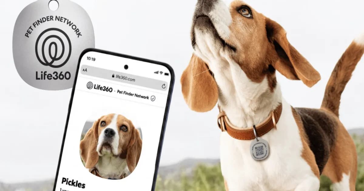 Ilustrasi Life360 pet tag dengan teknologi QR code untuk pelacakan hewan peliharaan