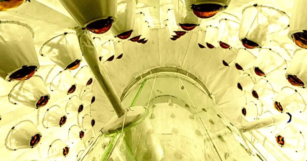 Tampilan dari bawah LZ Outer Detector, detektor dark matter terbesar di dunia