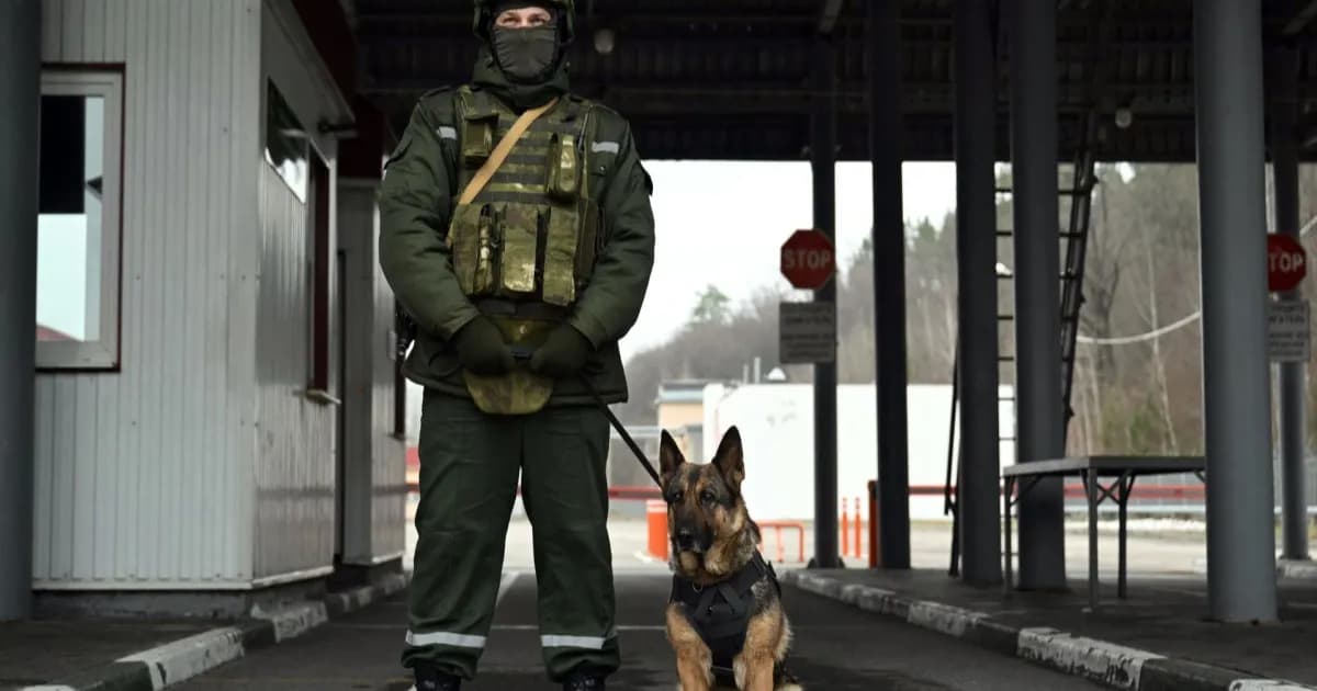 Ilustrasi personel keamanan militer dengan anjing pelacak di perbatasan