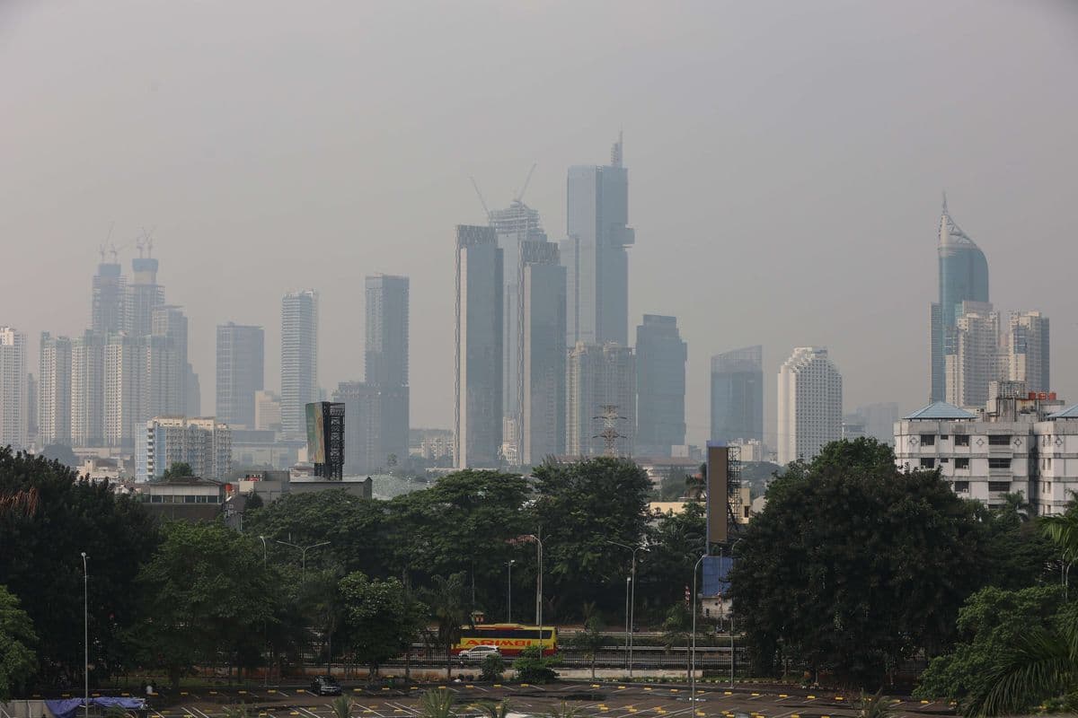 Super El Nino 2027 Ancam Krisis Pangan dan Inflasi Beras Indonesia