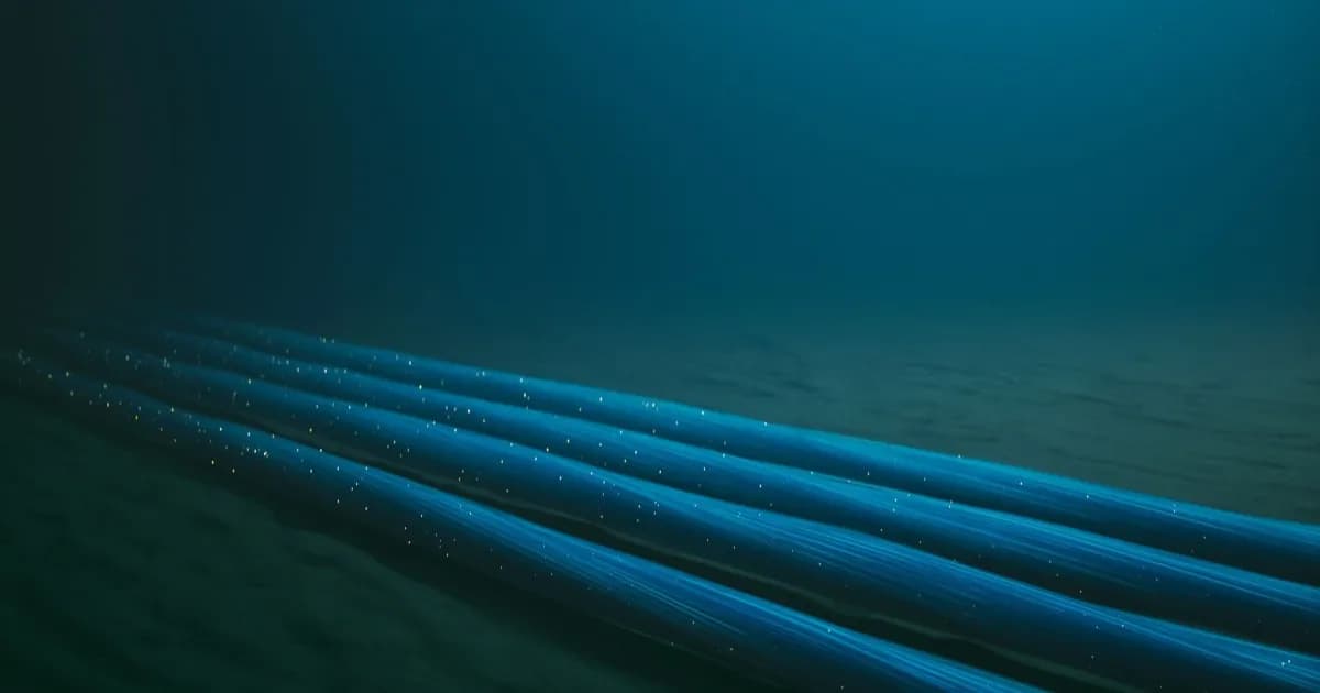 Ilustrasi kabel bawah laut yang menjadi target sabotase dan pemetaan oleh kapal Rusia