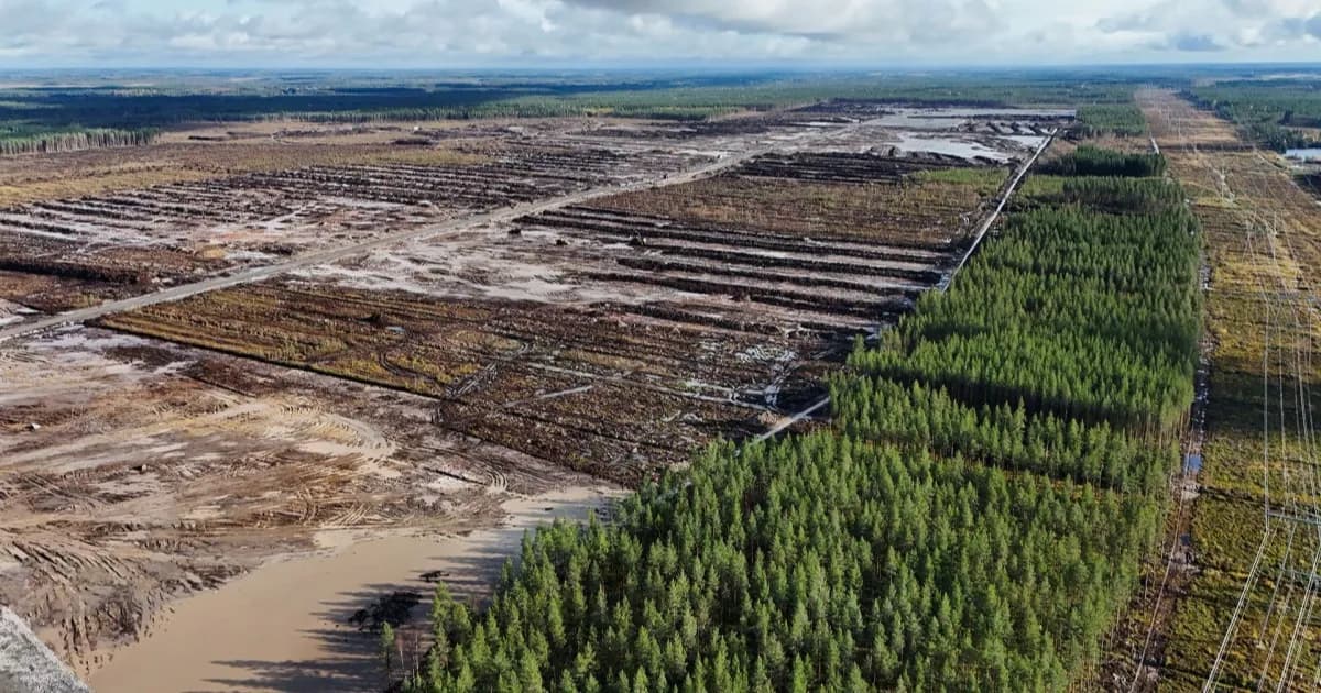 Ilustrasi data center Google di kawasan hutan Finlandia yang jadi objek investigasi pidana lingkungan