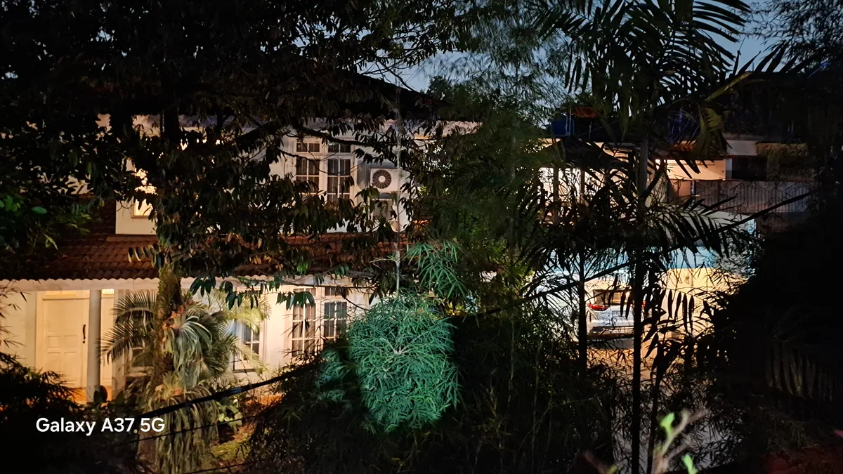 Hasil foto — sampel 2