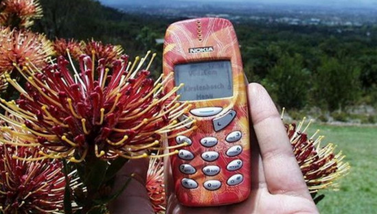 Nokia 3310 layar