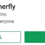 Cornerfly