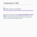 Google Allo-5