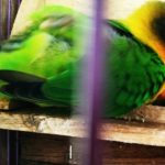IMG_20170125_132352