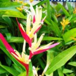 IMG_20170201_125057