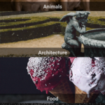Cinemagraphs-3