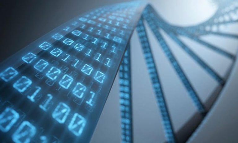 DNA manusia