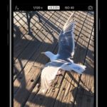 ProCamera
