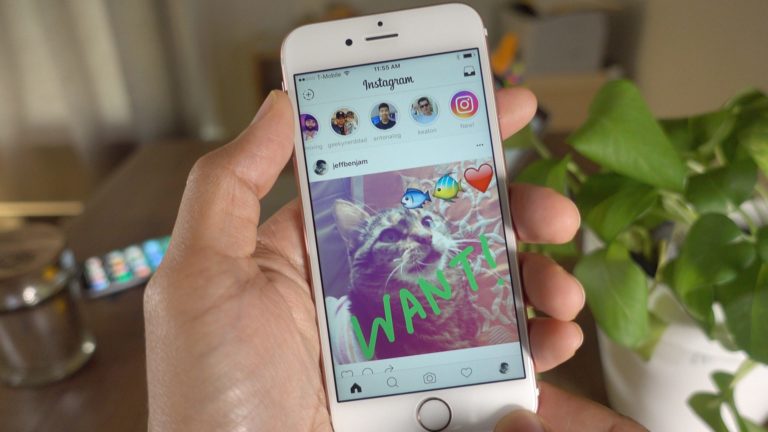 Viewers Instagram Stories