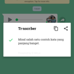 Transcriber for WhatsApp-11