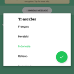 Transcriber for WhatsApp-6