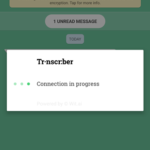 Transcriber for WhatsApp-7