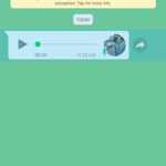 Transcriber for WhatsApp-9
