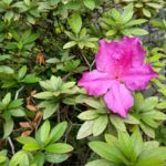 gambar39