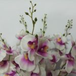 20180101_214726